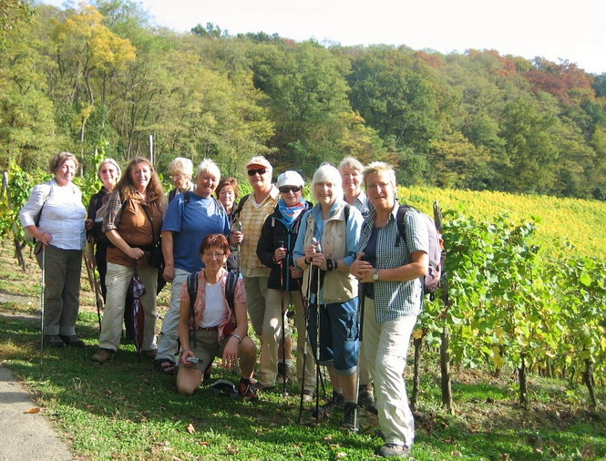  Gruppenfoto am ersten Weinberg!