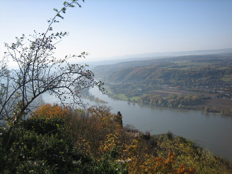 Blick zur Insel Grafenwerth