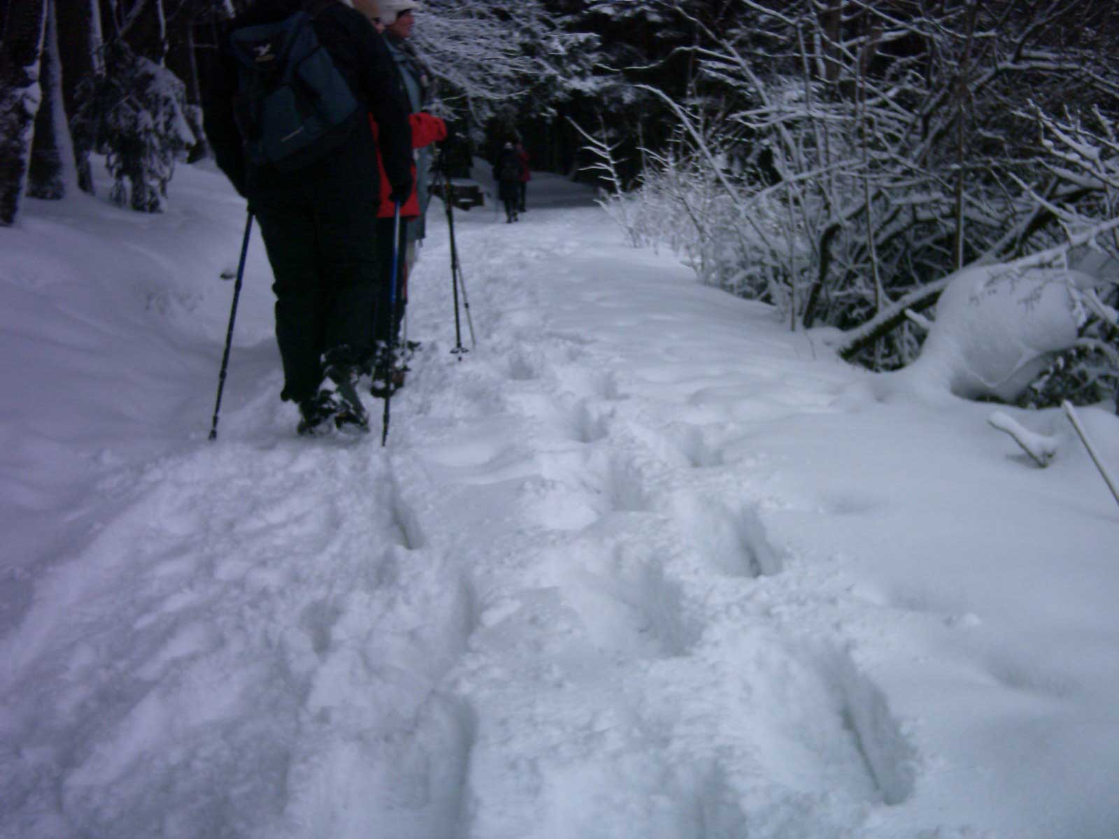 Unsere Spuren im Schnee!