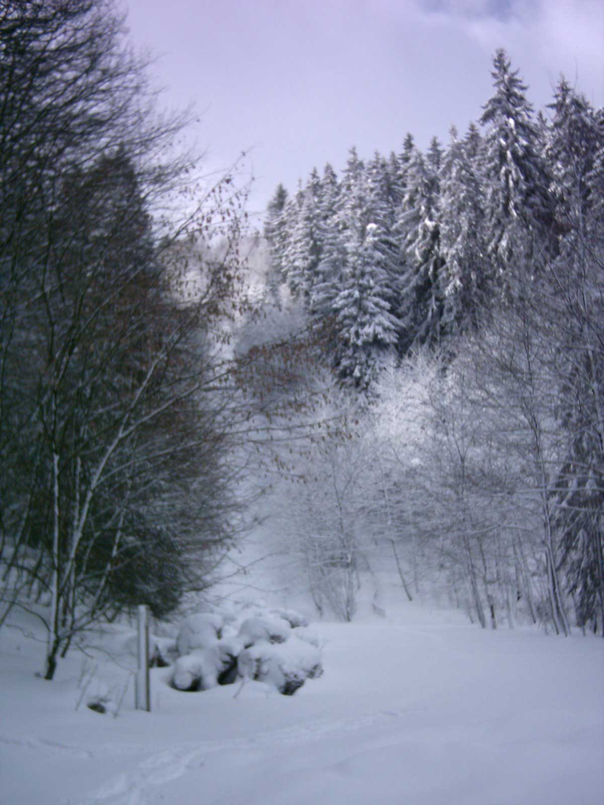 Wunderschöne Landschaft!